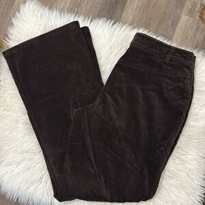 CAbi VELVET PANTS WIDE LEGS NO POCKET SIZE 6